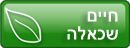 חיים שכאלה